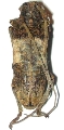 Monochamus (Anthores) leuconotus