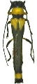 Loboberea pygidialis